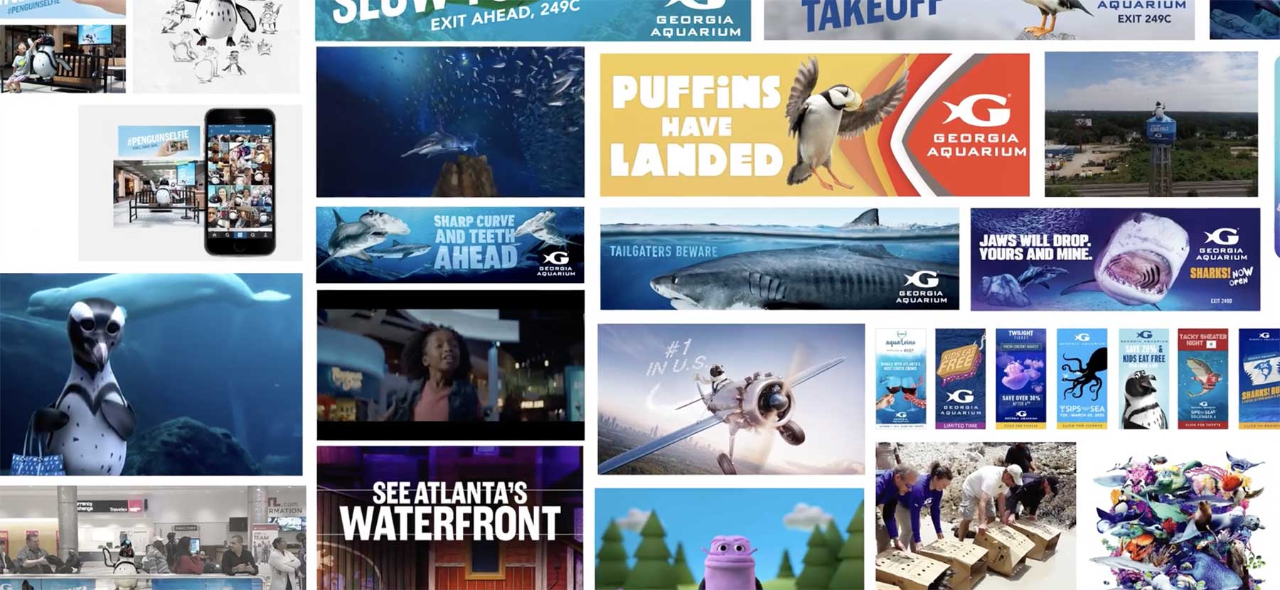 collage of varying Georgia Aquarium campaigns